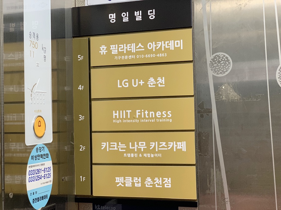 키크는 나무 이미지