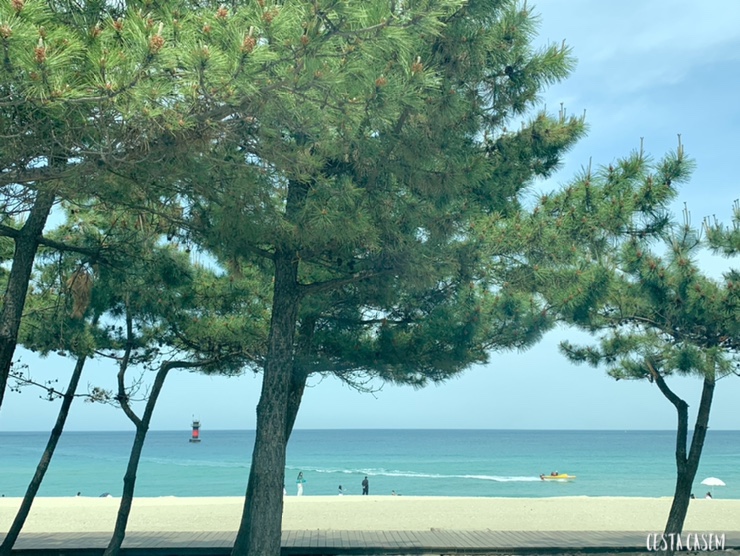 춘천IC(하) 이미지