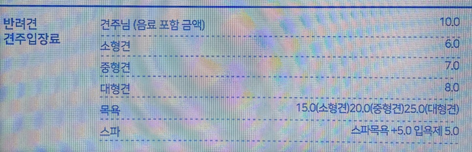 에버독 이미지