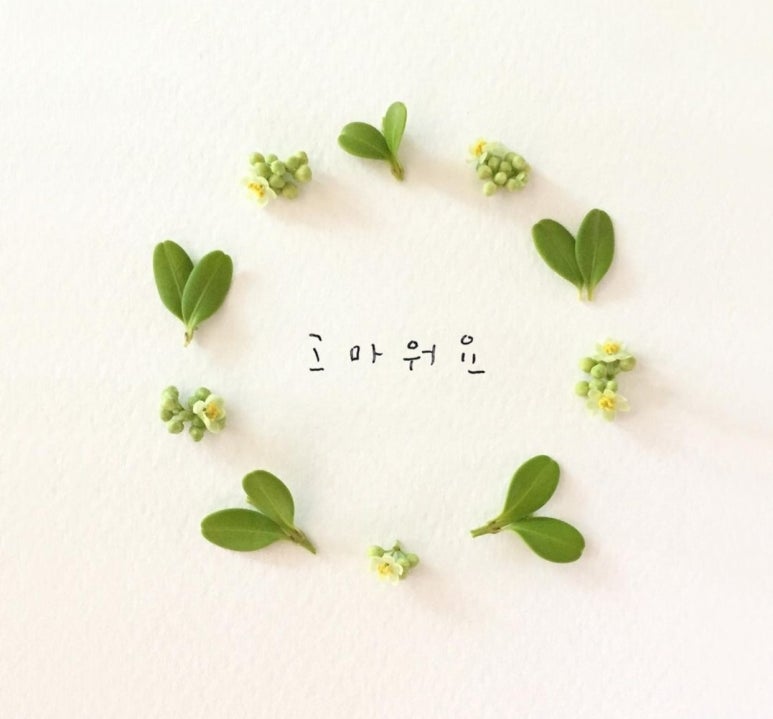 우리산업개발 이미지
