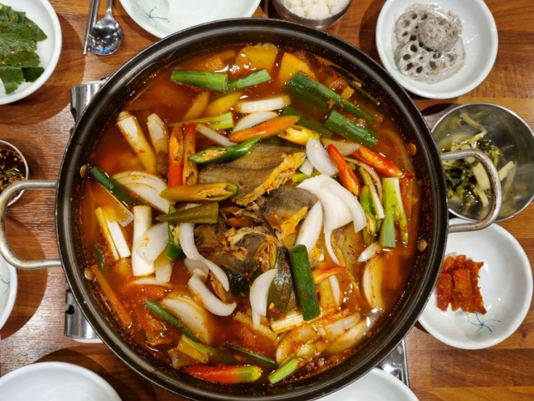 거진항코다리 이미지
