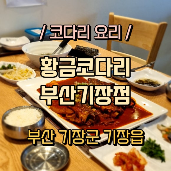 황금코다리부산 이미지