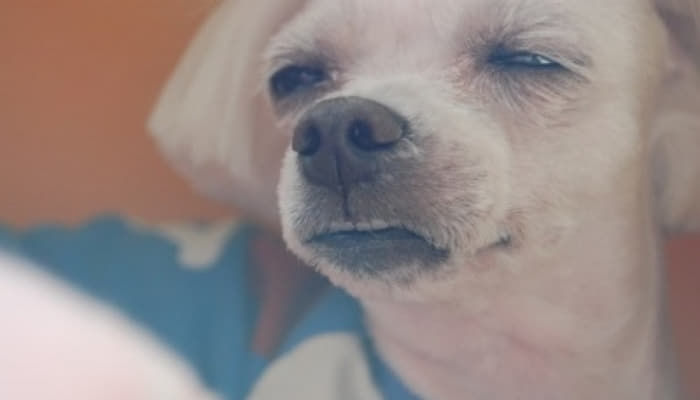제이클라스피티 이미지