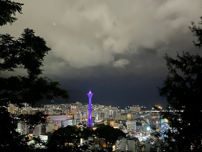 양,아찌 이미지