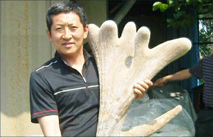 고려농장 이미지