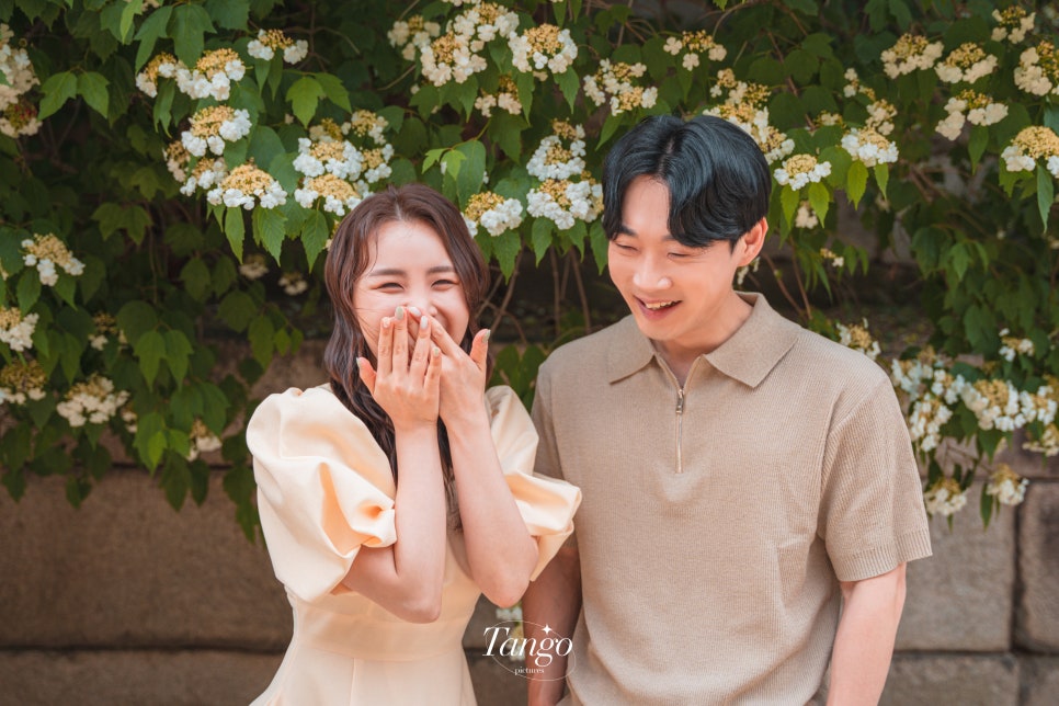 탱고픽처스 이미지