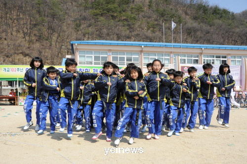 용인대체육관 이미지