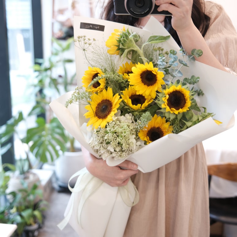 소유플레르 이미지