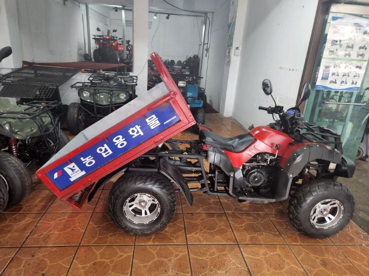 대한DH 이미지