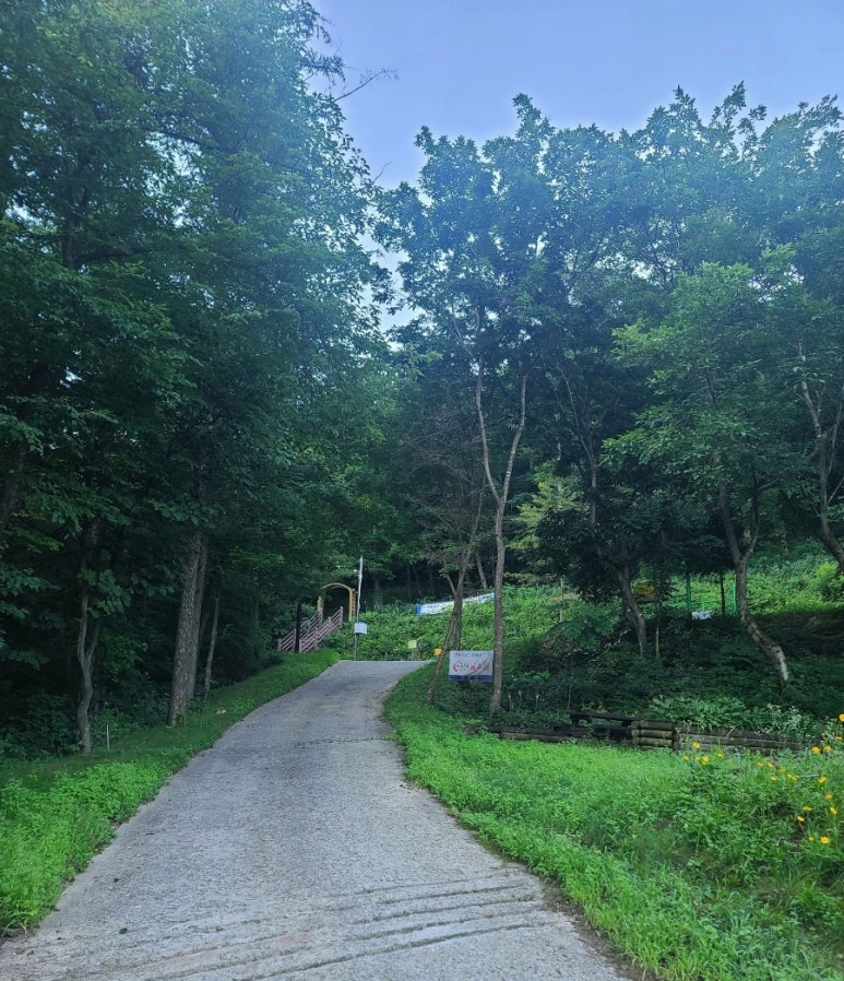 밝은미래주 이미지