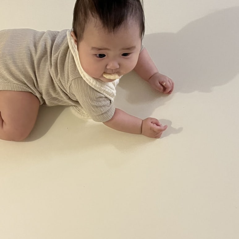 그라운드덕 이미지