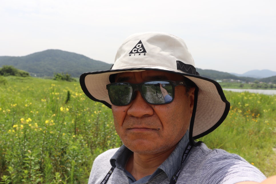 섬강화원 이미지