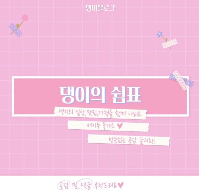 정선수제비가 이미지