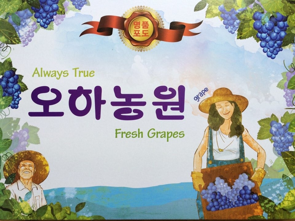 오하포도농원 이미지