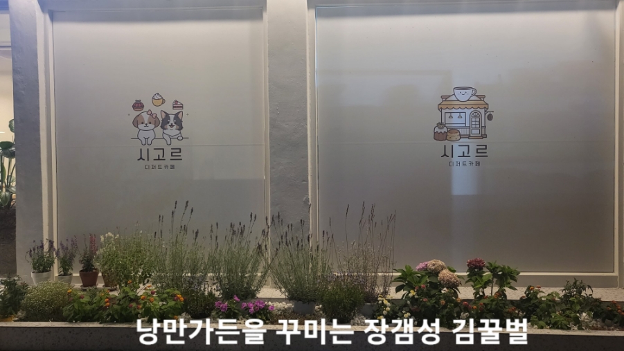 시고르디저트카페 이미지