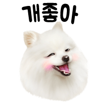 써피써피 이미지