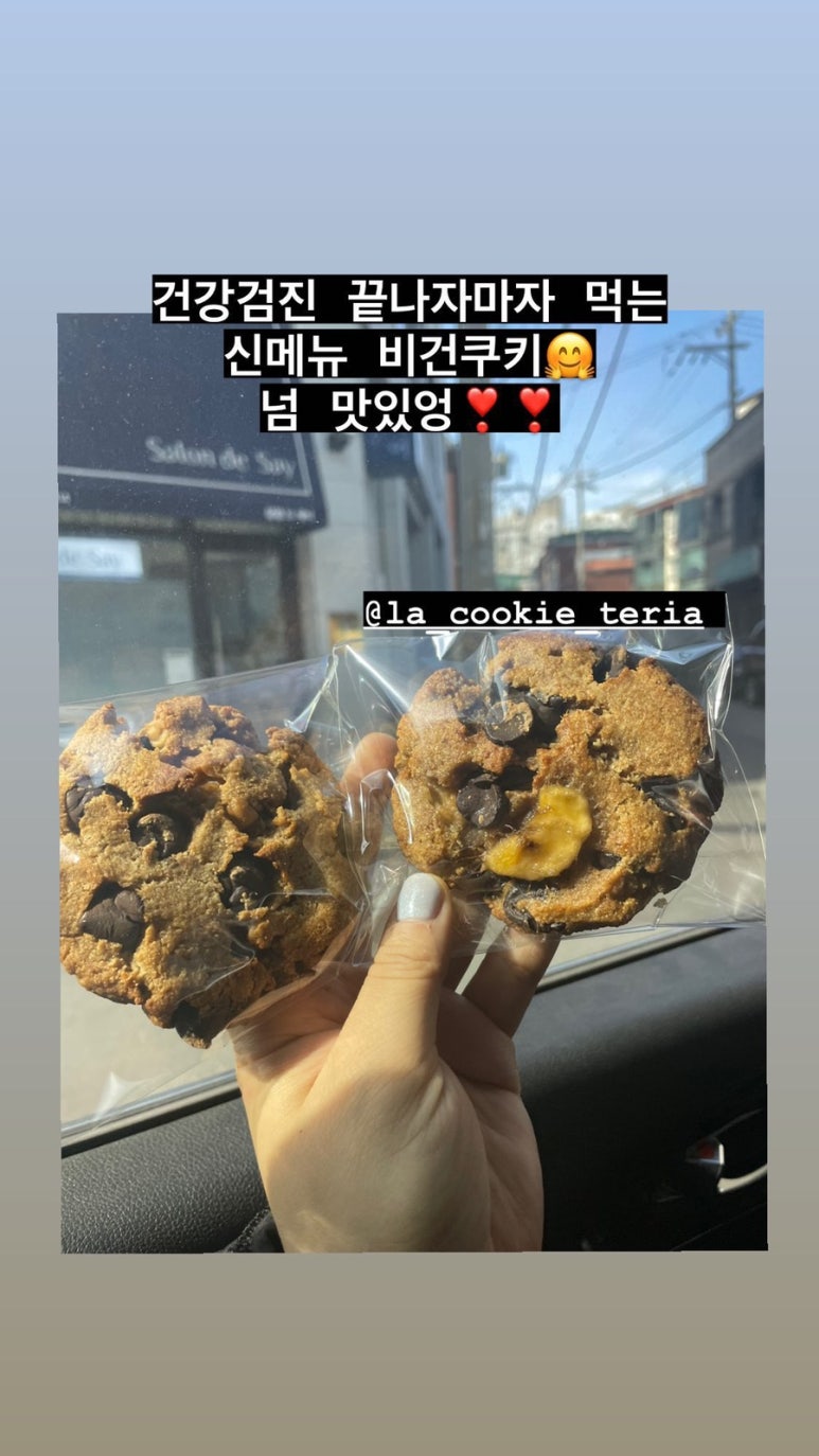 라쿠키테리아 이미지