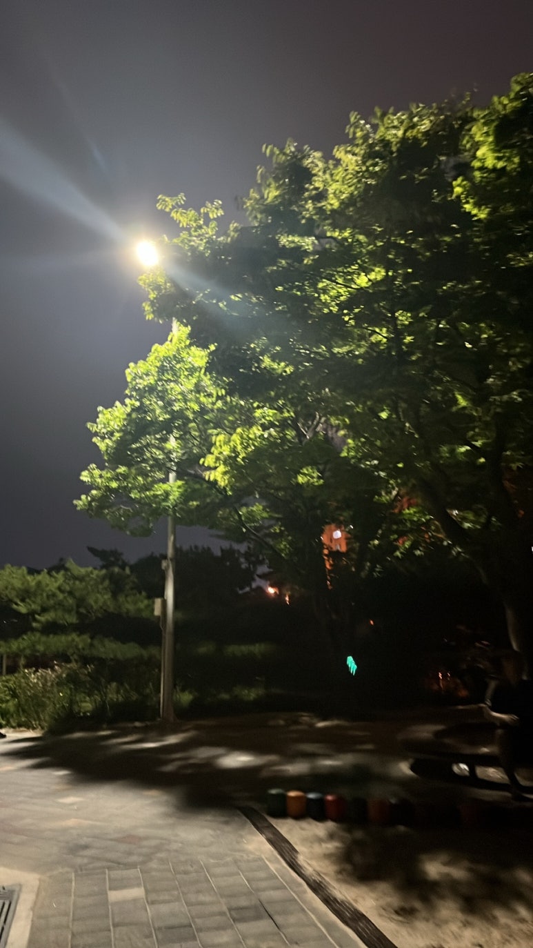 여르메 이미지