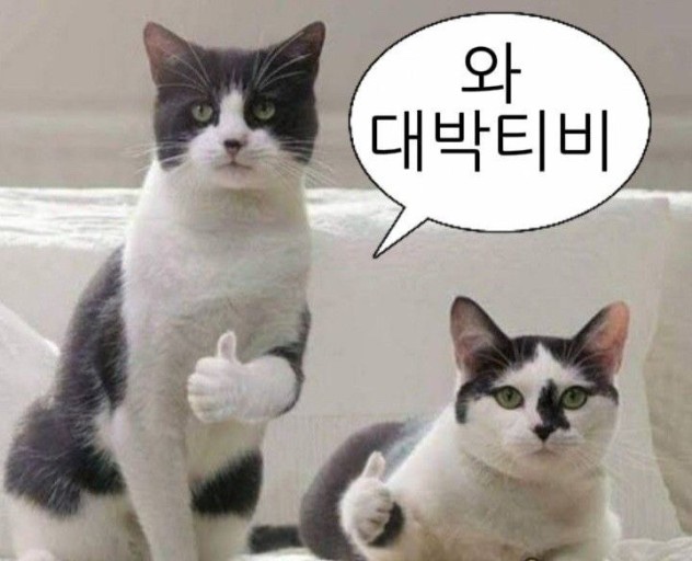 토함산 락 글램핑 이미지