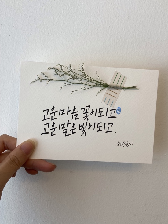 하이마이댕댕 이미지