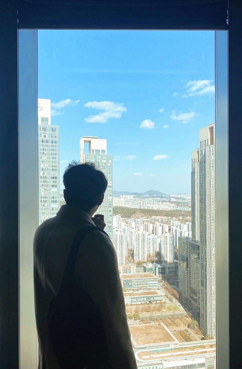 새가야시스템 이미지