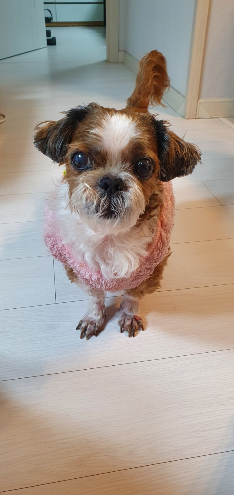 짝이되는동무 이미지