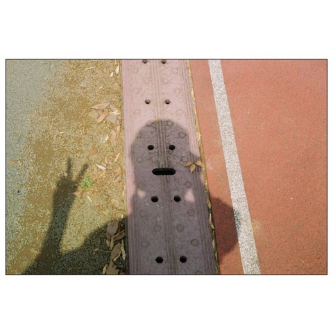 마롱케이크 이미지
