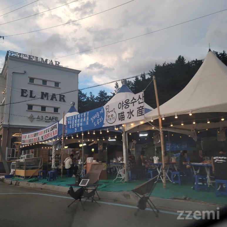 야옹수산 이미지