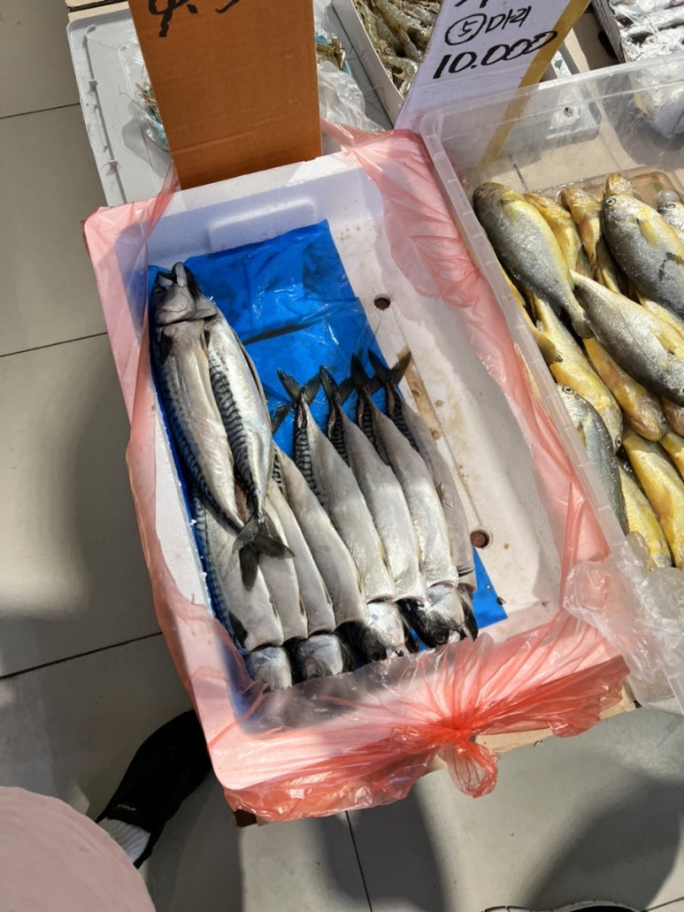 퍼주고또퍼주는집 이미지