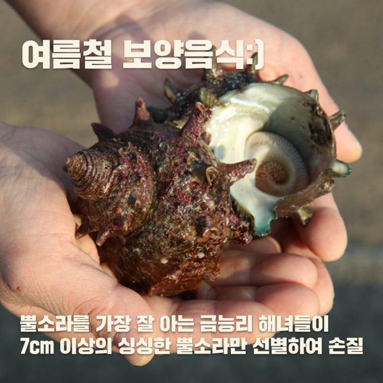 금능맛차롱 이미지