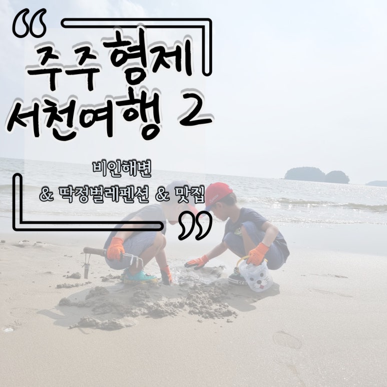 딱정벌레펜션 이미지