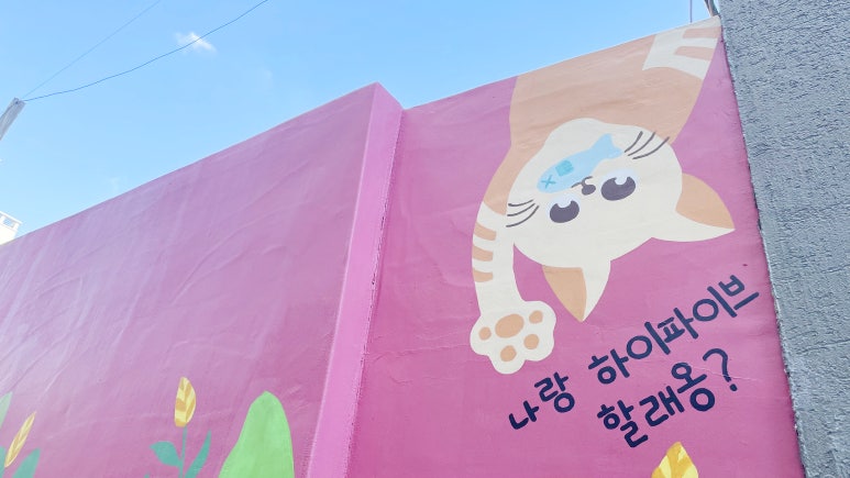 협동조합고치 이미지