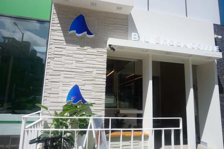 블루샥진주 이미지