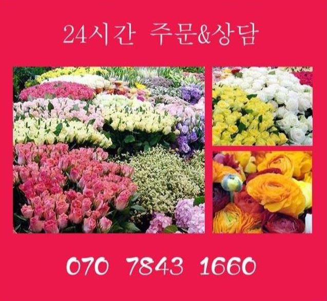 소망꽃집 이미지