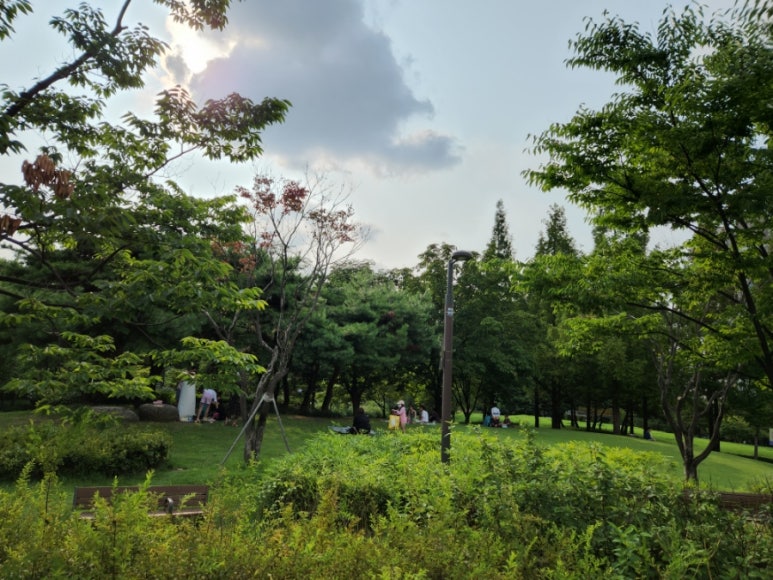 디저트, 호당 이미지
