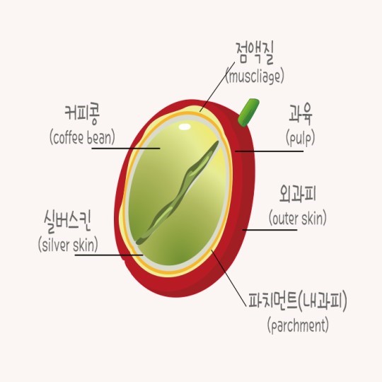 커피101 이미지