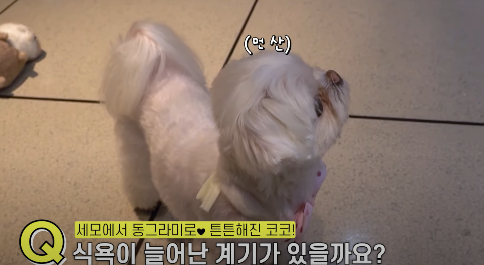 디오ENG 이미지