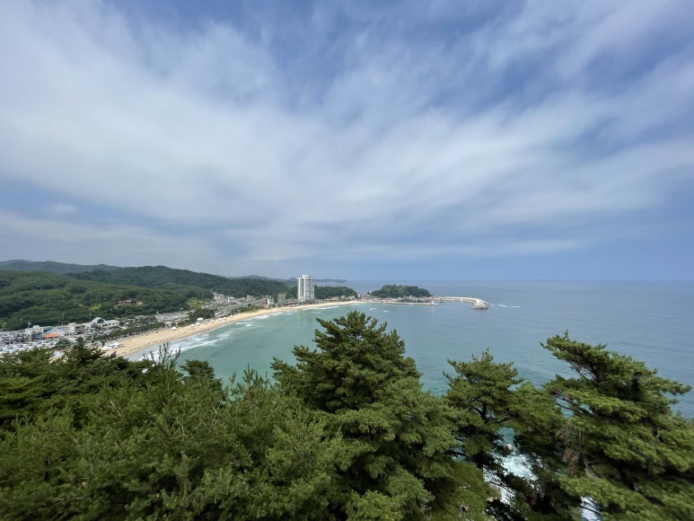 수산항물회 이미지