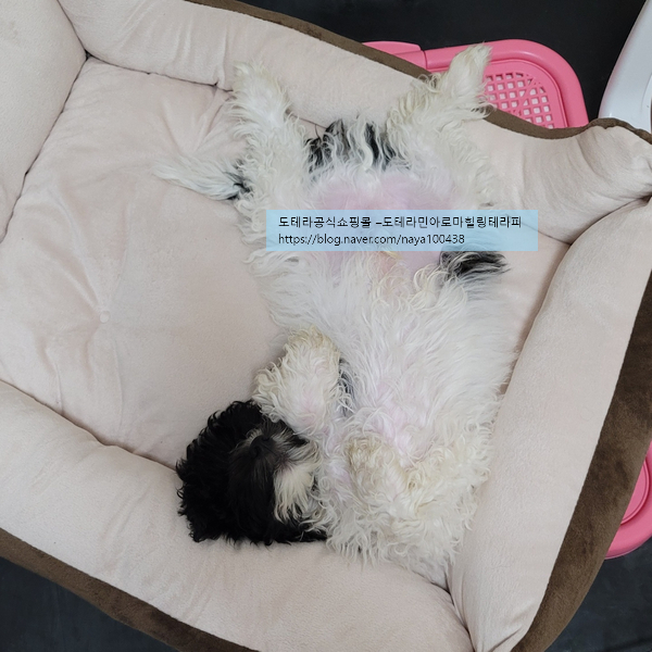 휴가테라피 이미지