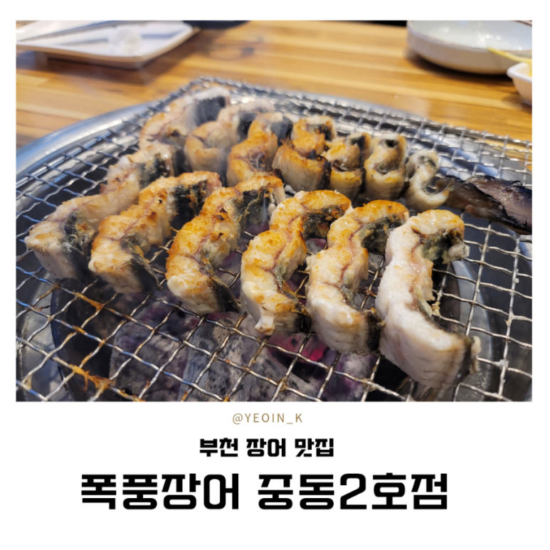 폭풍장어중동 이미지