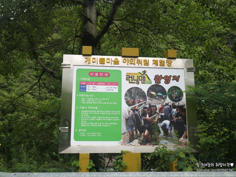 개미들솔향기야영장 이미지