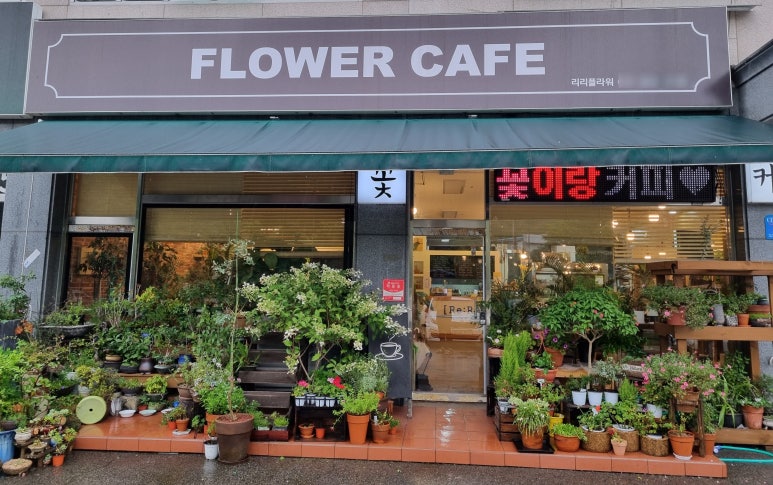 리리플라워카페 이미지