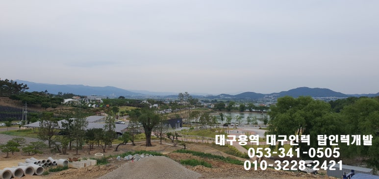 파트너직업소개소 이미지
