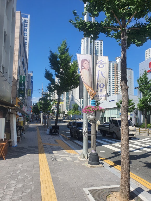 폰파는청년 이미지