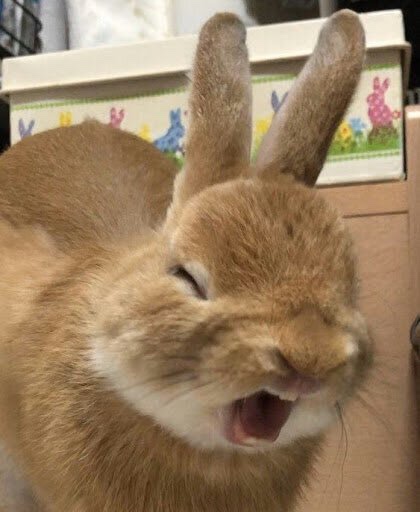 (주)쎄다 이미지