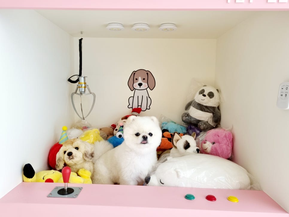 놀면뭐하개 이미지