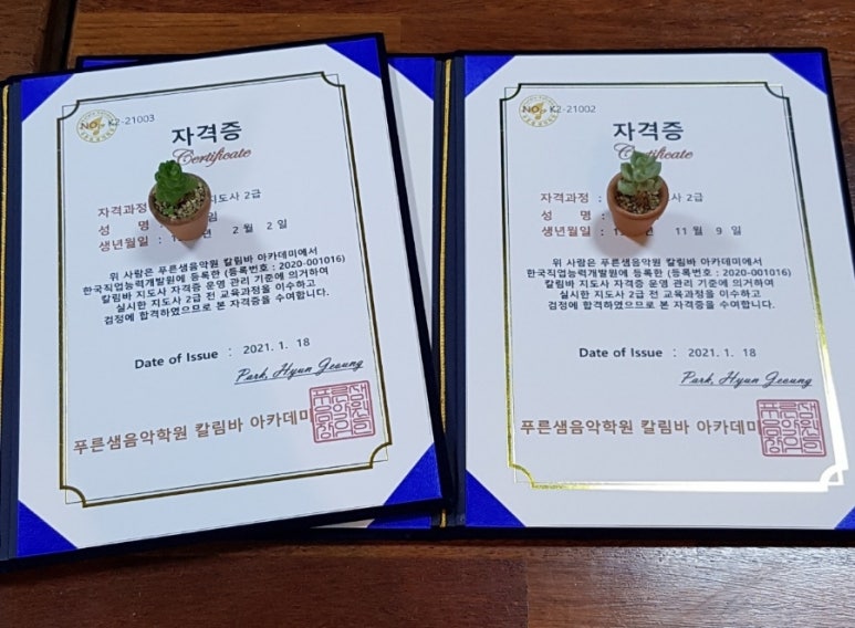 푸른컨설팅 이미지