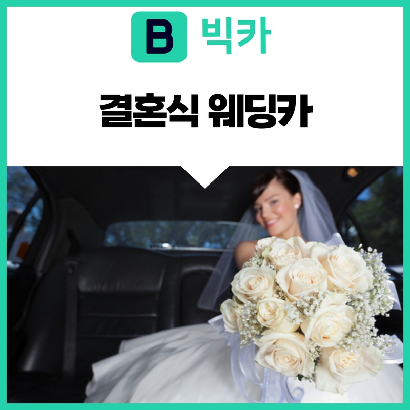 빅카 이미지