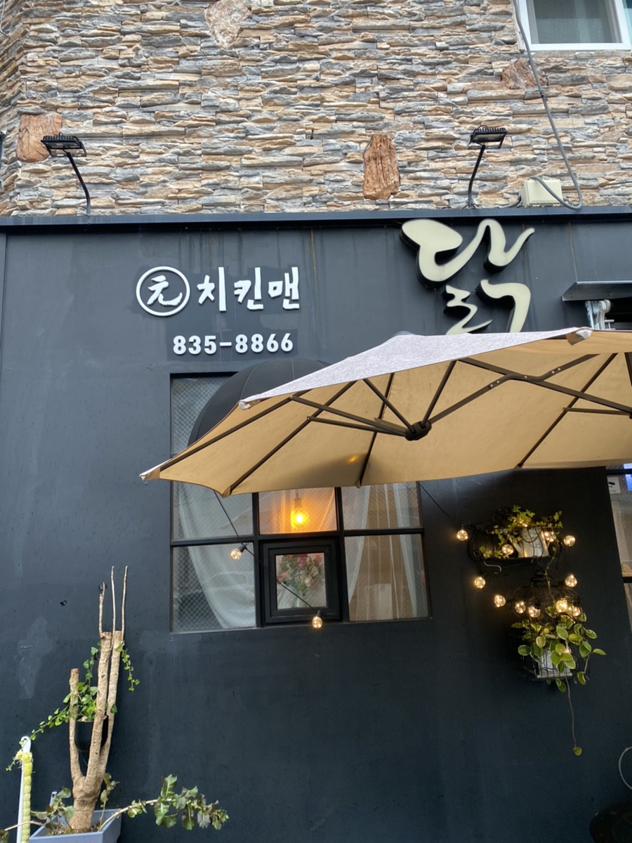 팔포실비 이미지