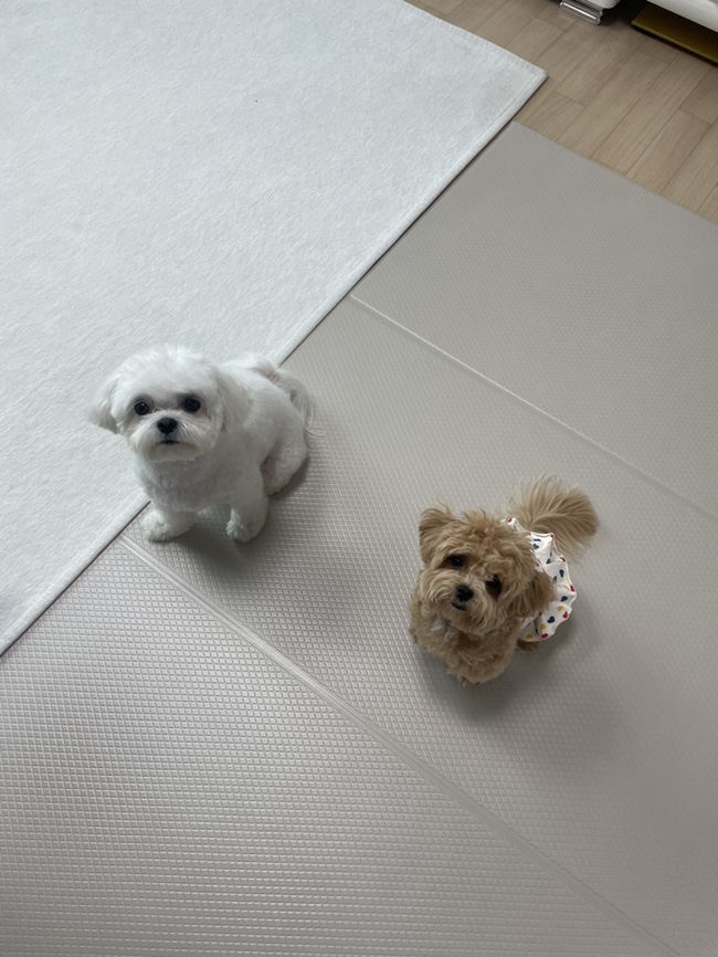 유성노래주점 이미지